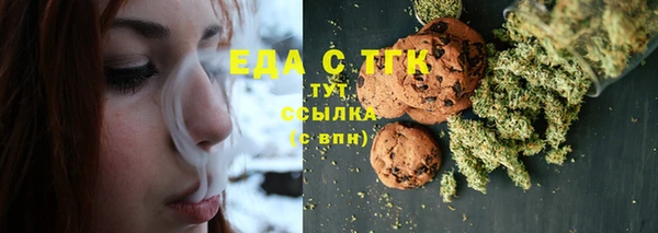 дмт Осинники