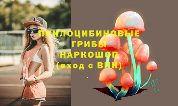 дмт Осинники