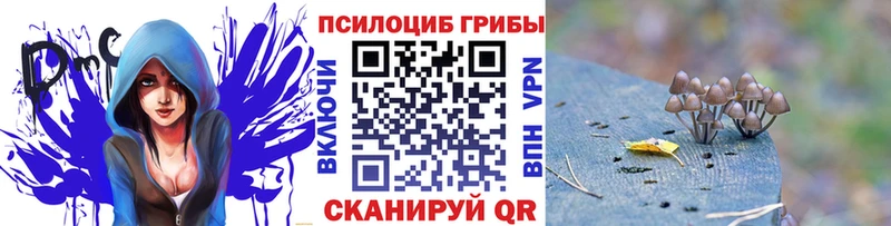 Галлюциногенные грибы мицелий Сусуман